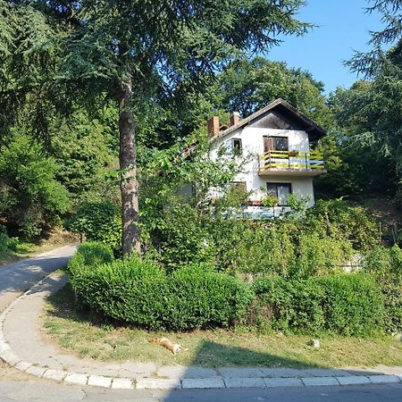 Nena & Rale Rooms Donji Milanovac Exterior photo