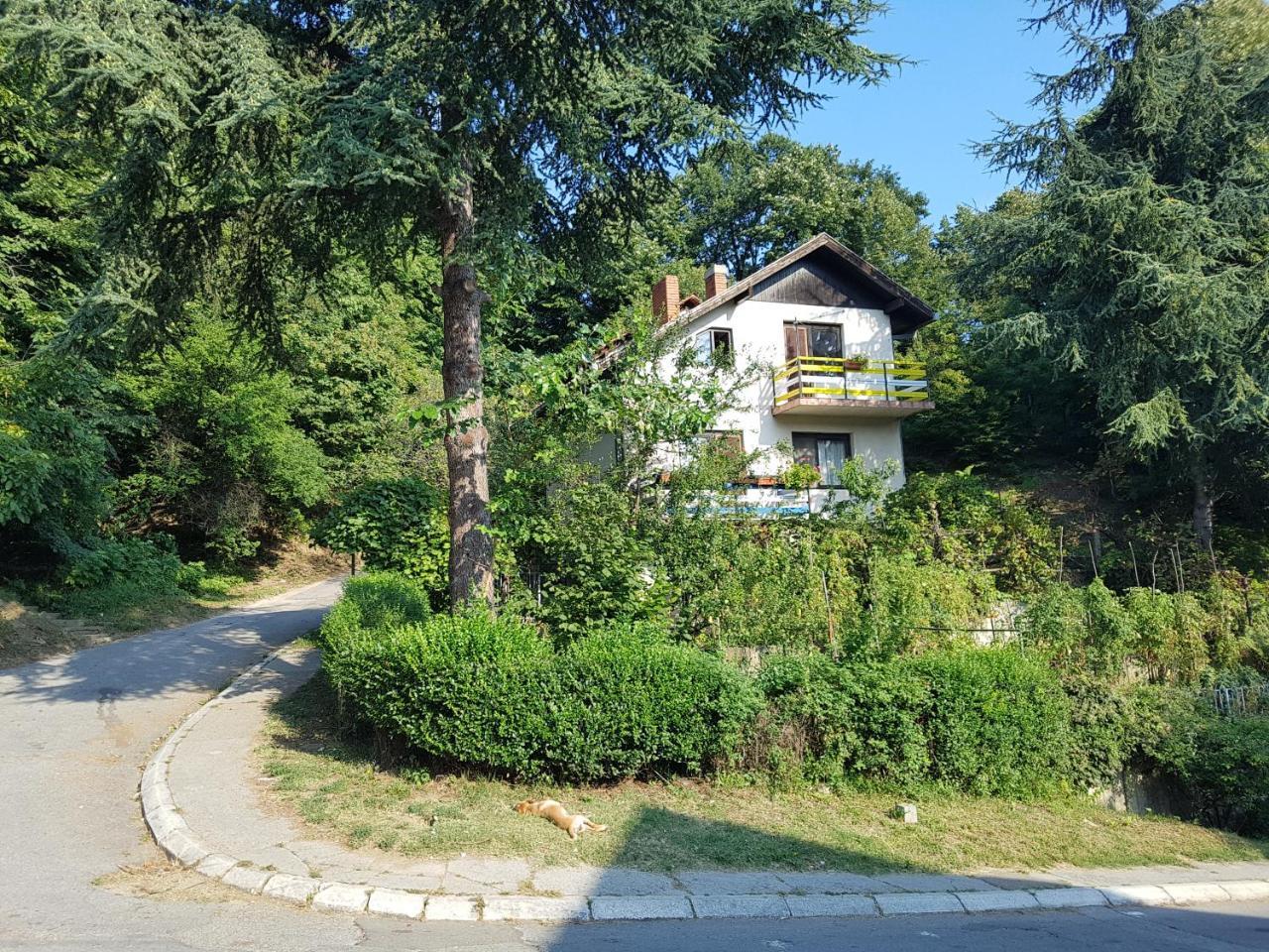Nena & Rale Rooms Donji Milanovac Exterior photo