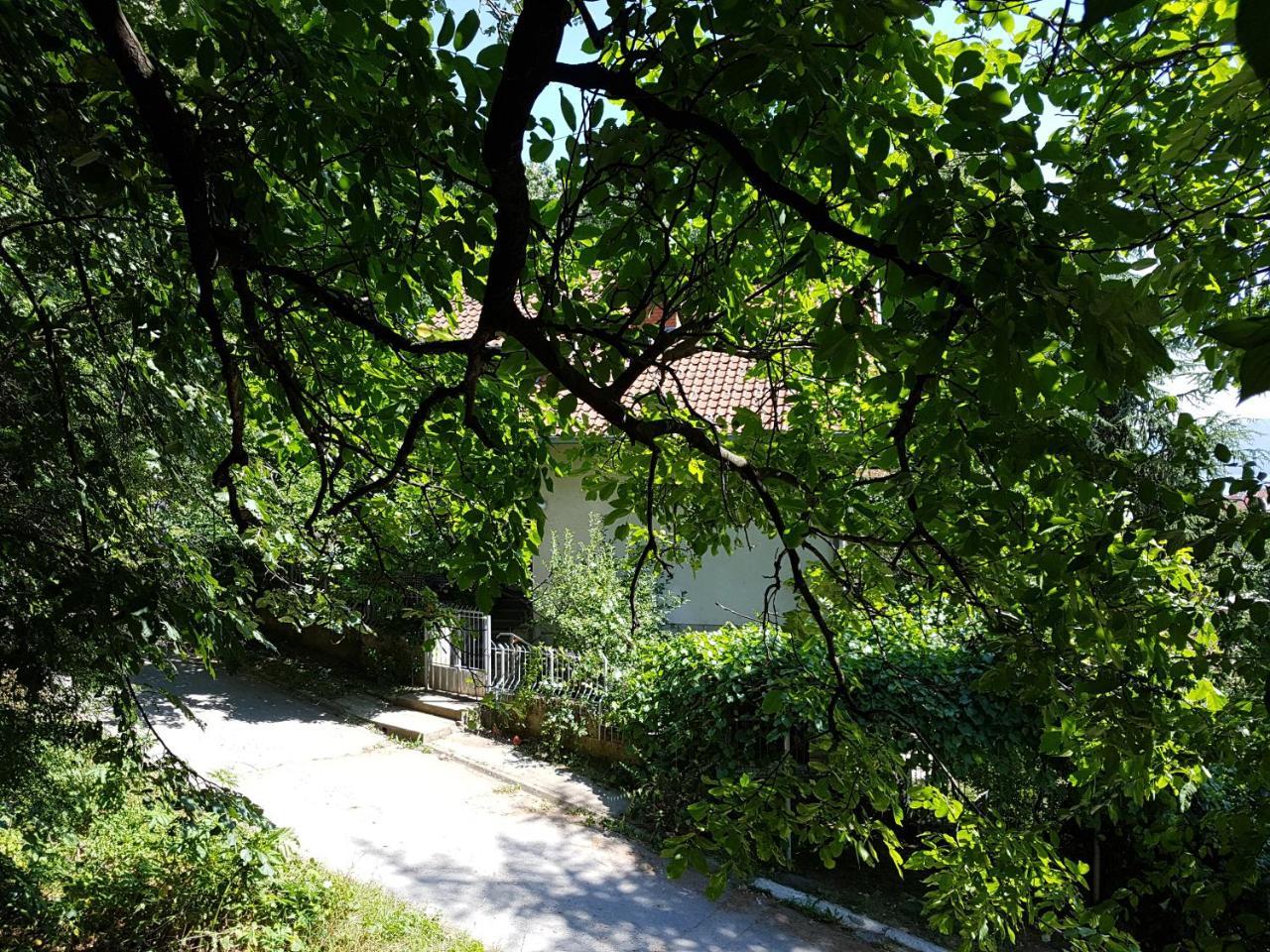 Nena & Rale Rooms Donji Milanovac Exterior photo