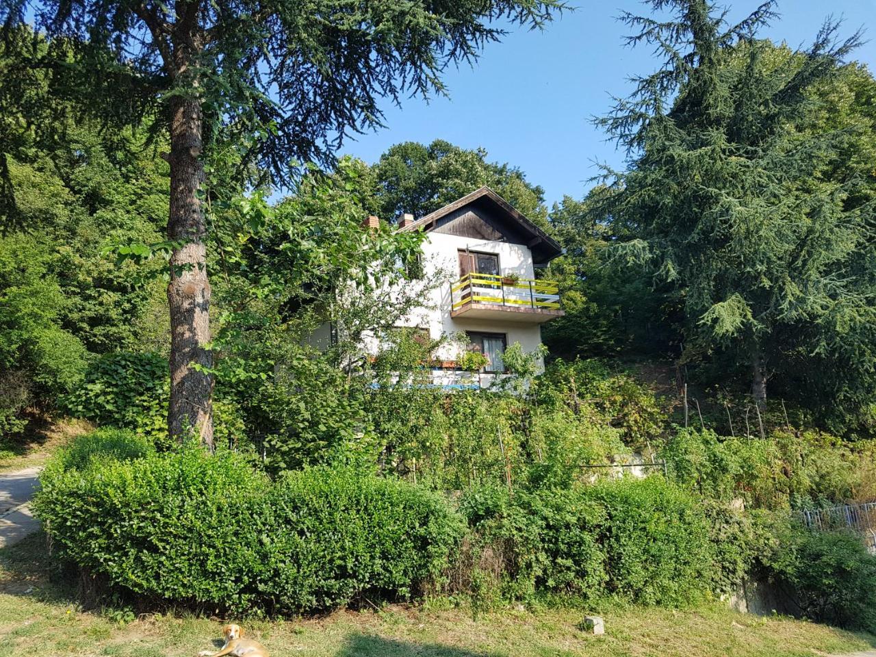 Nena & Rale Rooms Donji Milanovac Exterior photo